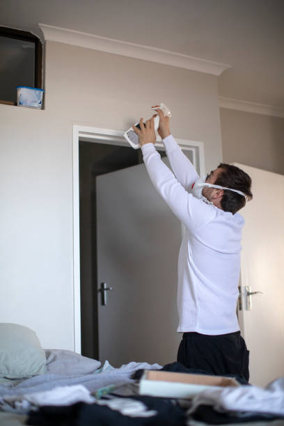 Best Attic Mold Removal  in Franklin Center, NJ