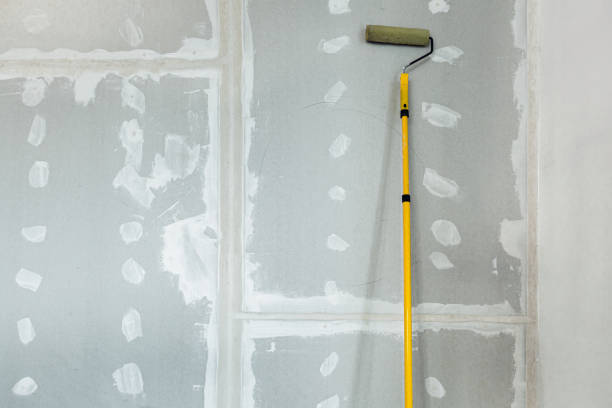 Best Mold Documentation for Insurance Claims  in Franklin Center, NJ