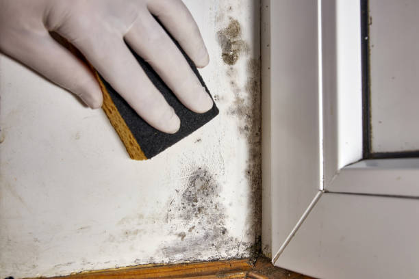  Franklin Center, NJ Mold Removal Pros